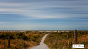 duinen schier