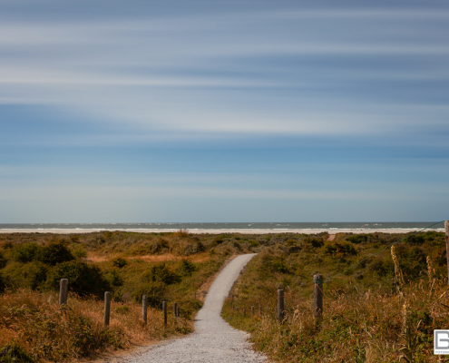 duinen schier