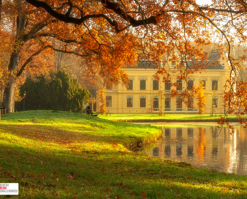 Kasteel Nienoord Herfst overhangende tak