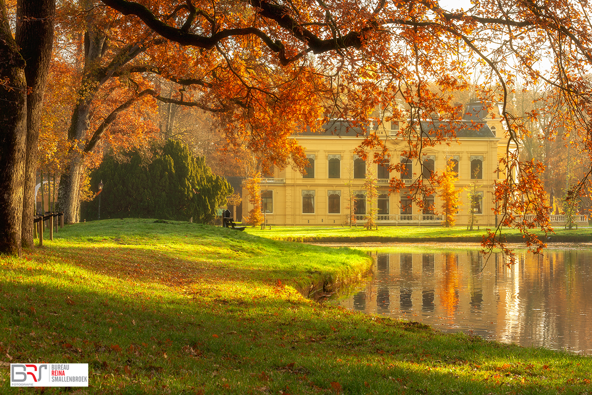 Kasteel Nienoord Herfst overhangende tak