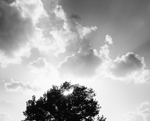 Boom met wolkenlucht