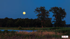 volle maan Onlanden