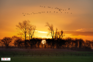 Zonsopkomst De Onlanden