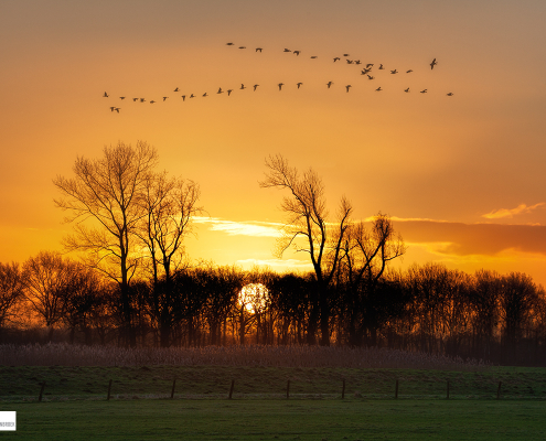 Zonsopkomst De Onlanden