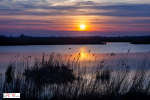 Zonsondergang Matsloot