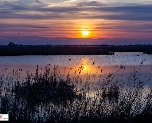 Zonsondergang Matsloot