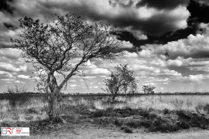 3 op een rij Balloërveld