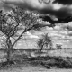 3 op een rij Balloërveld