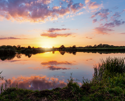 Zonsondergang Schipsloot met voorgrond