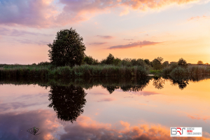 boom schipsloot zonsondergang