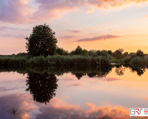 boom schipsloot zonsondergang