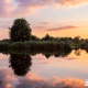 boom schipsloot zonsondergang