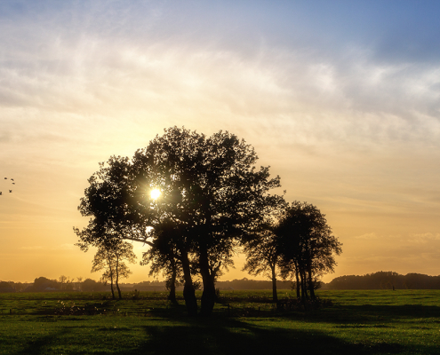 Onlanden met sunburst