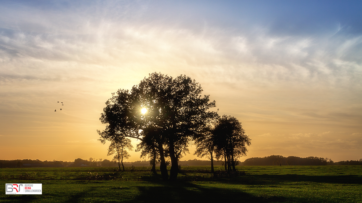 Onlanden met sunburst