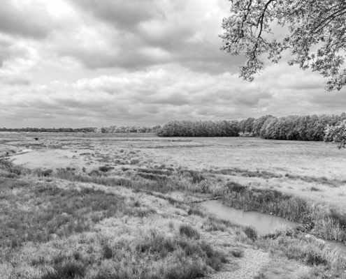 Geopark De Hondsrug Borger