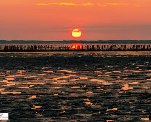 Zonsondergang Wierum