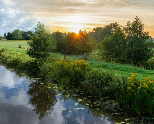 Bomen, water, hek in De Onlanden dag versus zonsopkomst