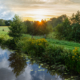 Bomen, water, hek in De Onlanden dag versus zonsopkomst