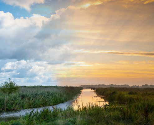 Bomen, water in De Onlanden dag versus zonsopkomst