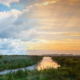 Bomen, water in De Onlanden dag versus zonsopkomst