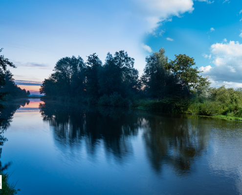 Bomen, water in De Onlanden dag versus zonsopkomst