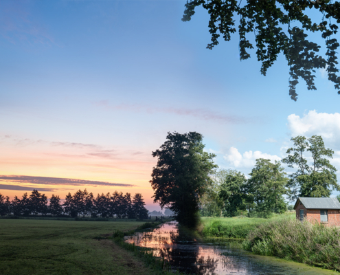 Bomen, water in De Onlanden dag versus zonsopkomst