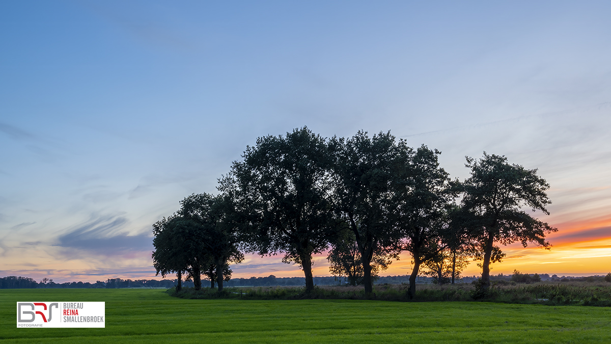 zonsondergang bomen De Onlanden