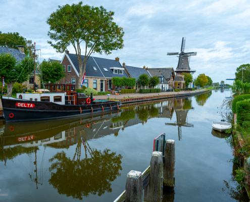 Burdaard met zicht op Molen De Zwaluw