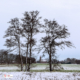 doorkijkje Kerk Midwolde in de sneeuw