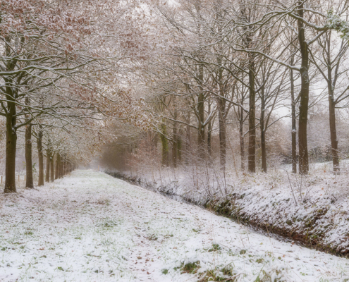 winter nienoord bij de bult