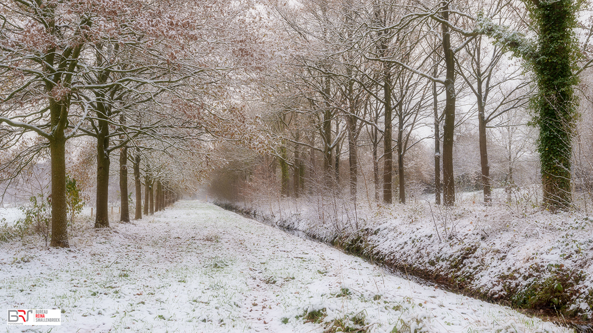 winter nienoord bij de bult