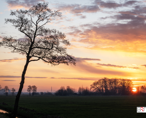 Zonsopkomst in de Onlanden met een boom