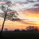 Zonsopkomst in de Onlanden met een boom