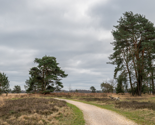 Haaksbergerveen