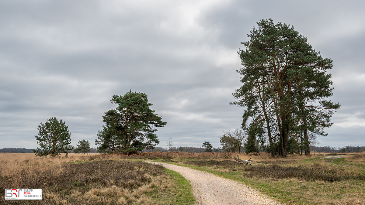 Haaksbergerveen