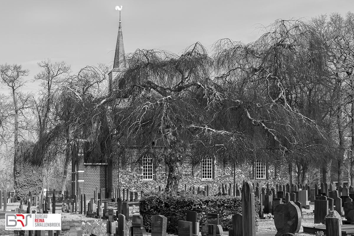 Treurwilg begraafplaats Nuis