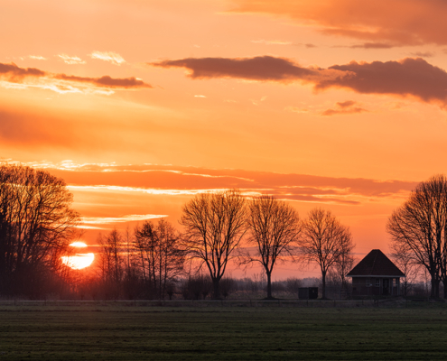 Zonsopkomst in De Onlanden