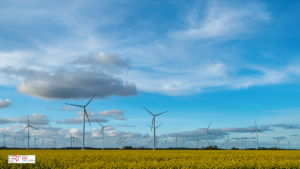 Raapzaad en windturbines