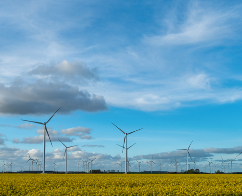 Raapzaad en windturbines