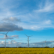 Raapzaad en windturbines