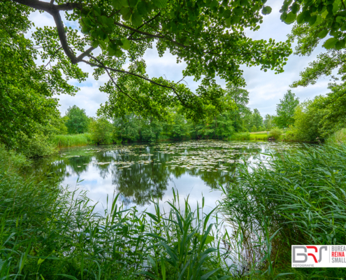 Swaalkesveld Oostindie Leek - Vlinder