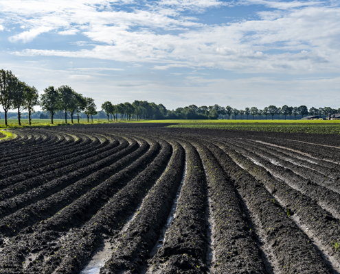 Boerenland Grolloo
