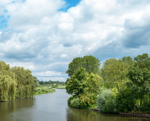 Asperen langs de Linge