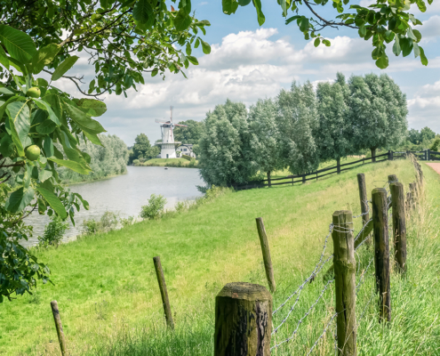 Molen De Vlinder Deil
