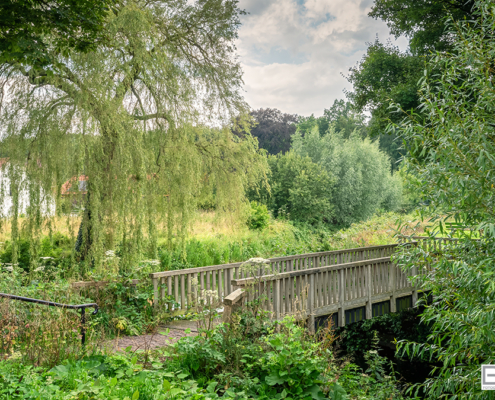 Hek met treurwilg Buren Gelderland