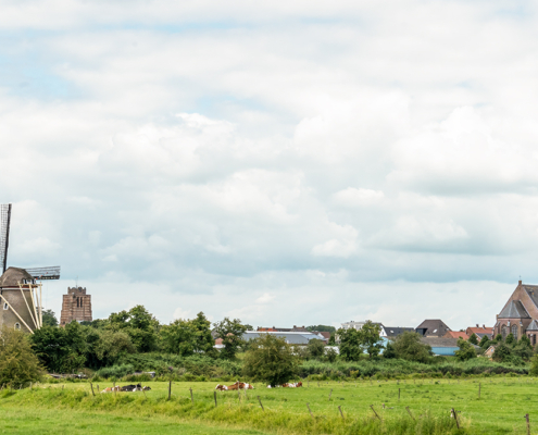 Zicht op Beesd met Molen de Vrijheid, St. Pieterskerk of Petruskerk en Kerk H. Kruisverheffing