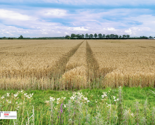 Lagen in het landschap