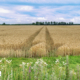 Lagen in het landschap