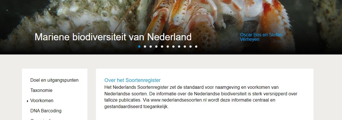Nederlandse soorten