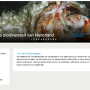 Nederlandse soorten